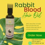 Rabbit